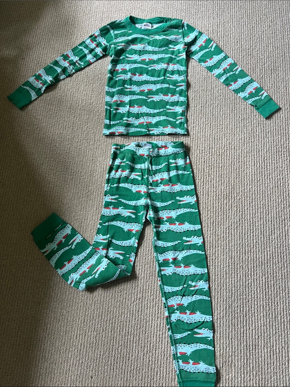 Hanna Andersson Green Alligator Stripe Pajama Set